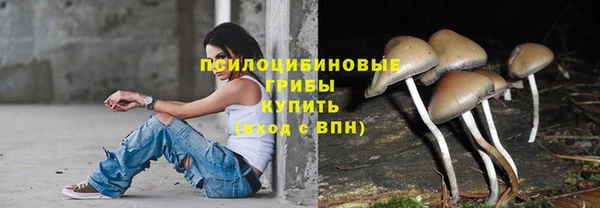 хмурый Няндома