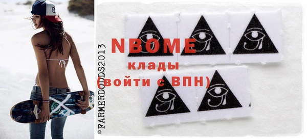 хмурый Няндома