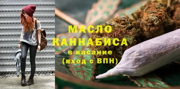 хмурый Няндома