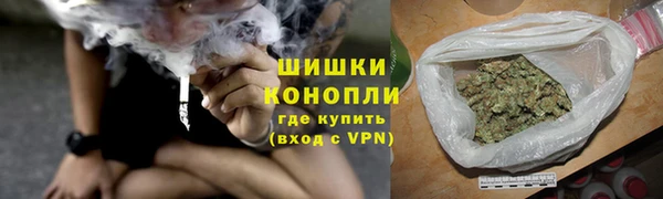 хмурый Няндома