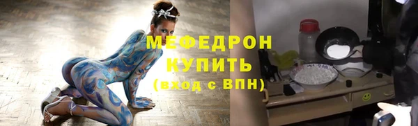 хмурый Няндома