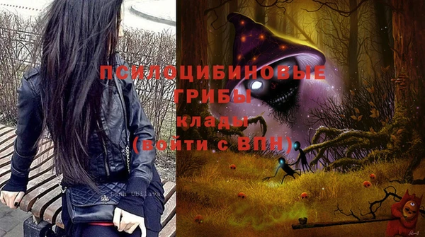 хмурый Няндома