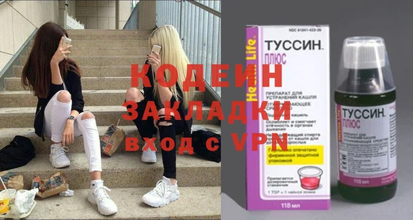 хмурый Няндома