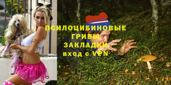 гидра Нягань